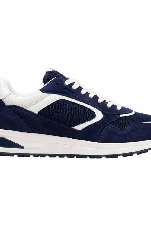 Corvin Limited Edition Sneakers